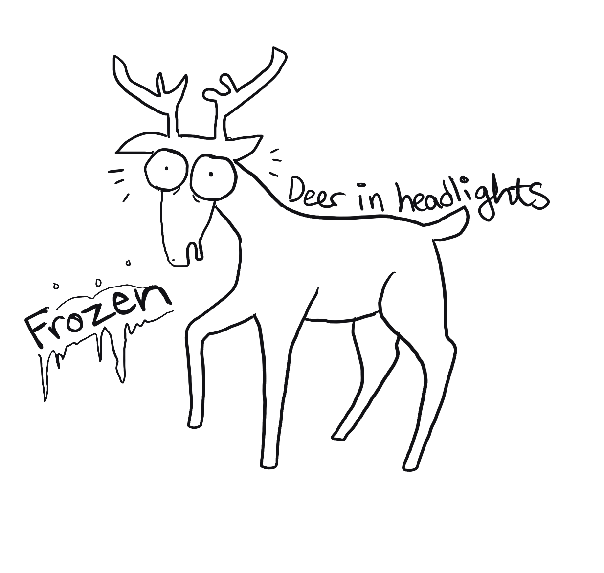 Frozen deer in the headlights with large eyes and its mouth hanging open